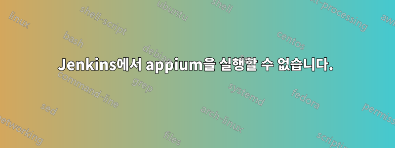 Jenkins에서 appium을 실행할 수 없습니다.