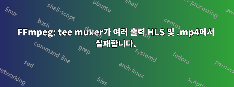 FFmpeg: tee muxer가 여러 출력 HLS 및 .mp4에서 실패합니다.