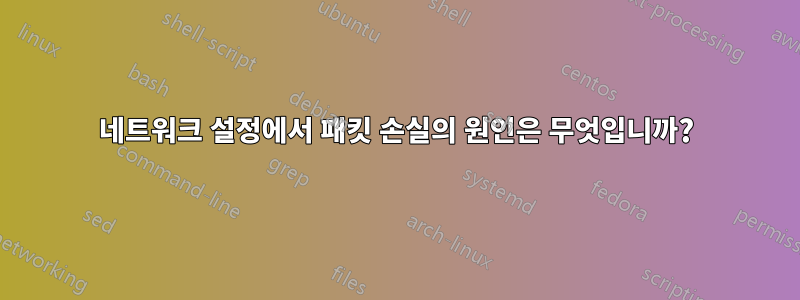 네트워크 설정에서 패킷 손실의 원인은 무엇입니까?