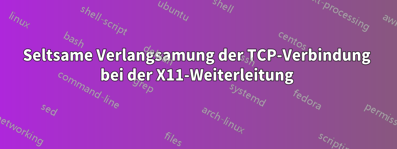 Seltsame Verlangsamung der TCP-Verbindung bei der X11-Weiterleitung