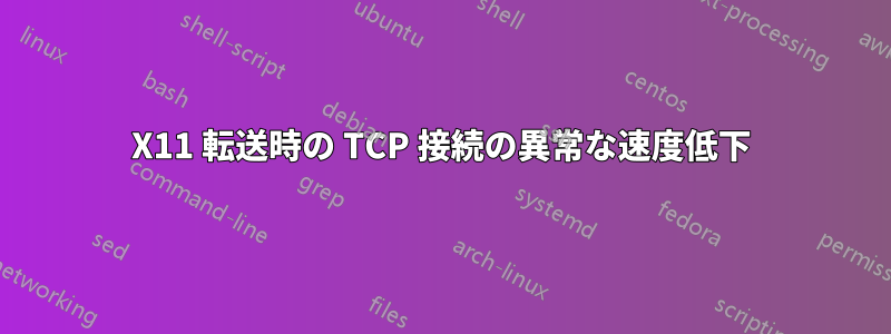 X11 転送時の TCP 接続の異常な速度低下