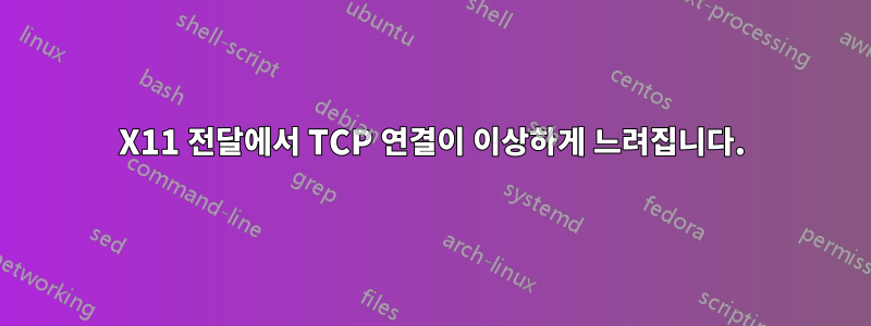 X11 전달에서 TCP 연결이 이상하게 느려집니다.