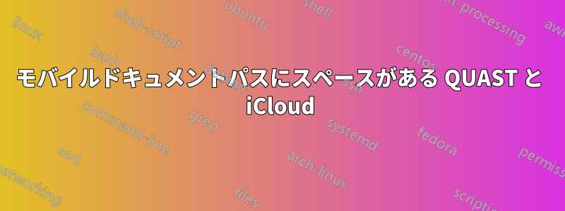 モバイルドキュメントパスにスペースがある QUAST と iCloud