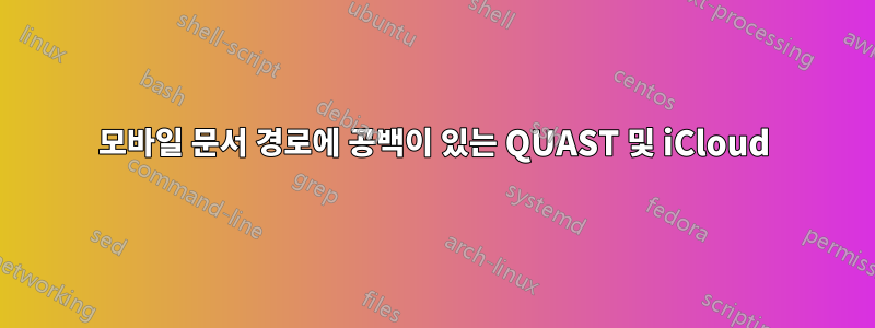 모바일 문서 경로에 공백이 있는 QUAST 및 iCloud