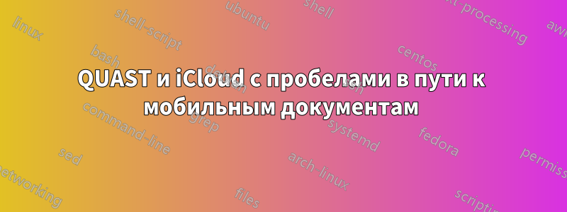 QUAST и iCloud с пробелами в пути к мобильным документам