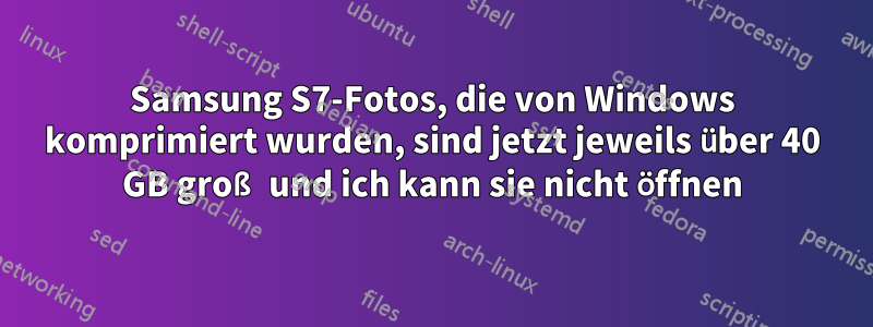 Samsung S7-Fotos, die von Windows komprimiert wurden, sind jetzt jeweils über 40 GB groß und ich kann sie nicht öffnen