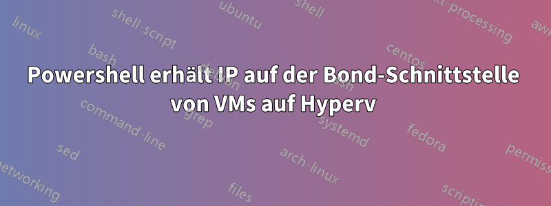 Powershell erhält IP auf der Bond-Schnittstelle von VMs auf Hyperv