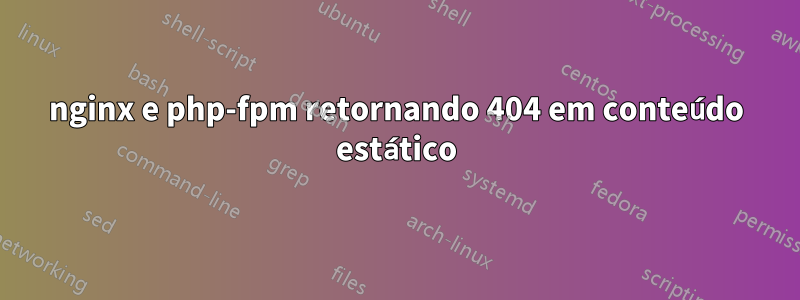 nginx e php-fpm retornando 404 em conteúdo estático