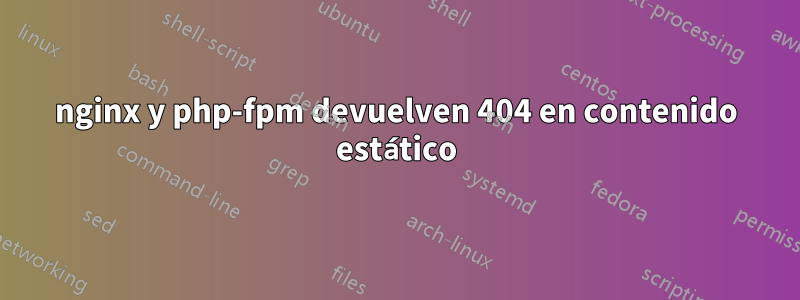 nginx y php-fpm devuelven 404 en contenido estático