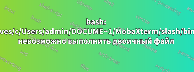 bash: /drives/c/Users/admin/DOCUME~1/MobaXterm/slash/bin/ls: невозможно выполнить двоичный файл