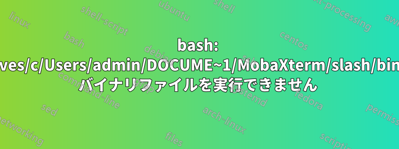 bash: /drives/c/Users/admin/DOCUME~1/MobaXterm/slash/bin/ls: バイナリファイルを実行できません