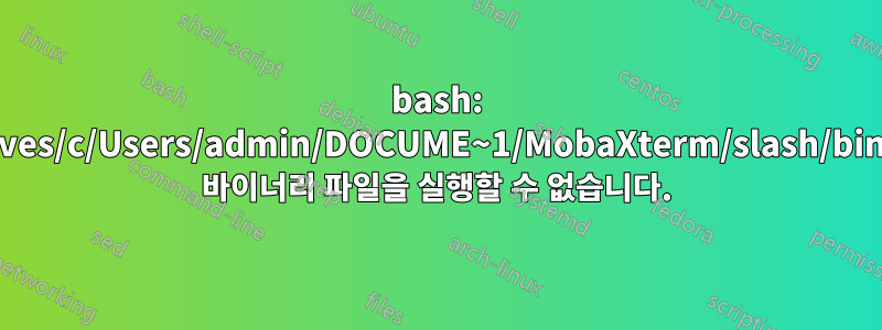 bash: /drives/c/Users/admin/DOCUME~1/MobaXterm/slash/bin/ls: 바이너리 파일을 실행할 수 없습니다.