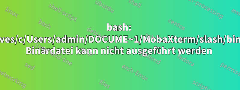 bash: /drives/c/Users/admin/DOCUME~1/MobaXterm/slash/bin/ls: Binärdatei kann nicht ausgeführt werden