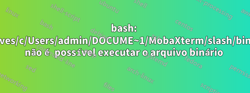 bash: /drives/c/Users/admin/DOCUME~1/MobaXterm/slash/bin/ls: não é possível executar o arquivo binário