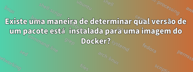 Existe uma maneira de determinar qual versão de um pacote está instalada para uma imagem do Docker?