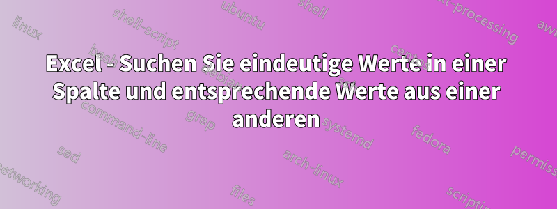 Excel - Suchen Sie eindeutige Werte in einer Spalte und entsprechende Werte aus einer anderen