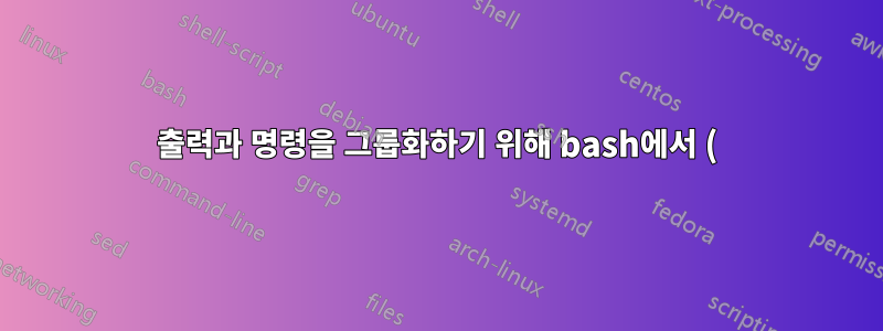 출력과 명령을 그룹화하기 위해 bash에서 ()와 {}의 차이점은 무엇입니까?