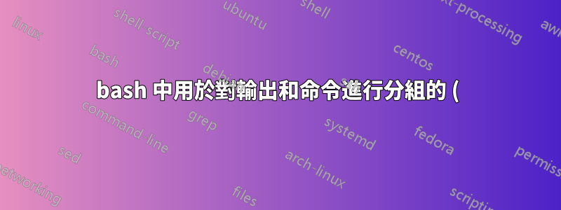 bash 中用於對輸出和命令進行分組的 () 和 {} 有什麼區別
