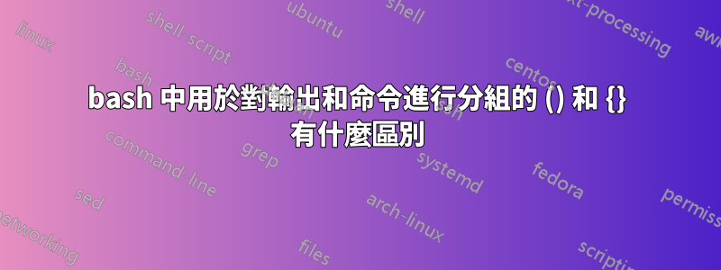 bash 中用於對輸出和命令進行分組的 () 和 {} 有什麼區別