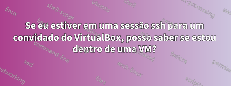 Se eu estiver em uma sessão ssh para um convidado do VirtualBox, posso saber se estou dentro de uma VM?