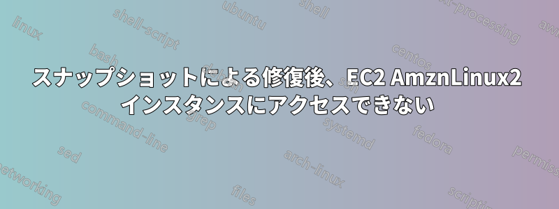 スナップショットによる修復後、EC2 AmznLinux2 インスタンスにアクセスできない