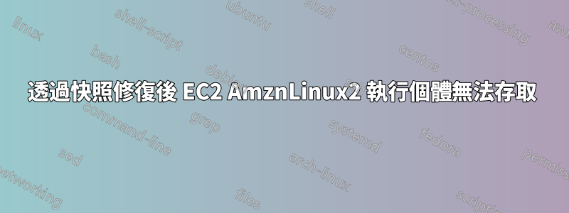 透過快照修復後 EC2 AmznLinux2 執行個體無法存取