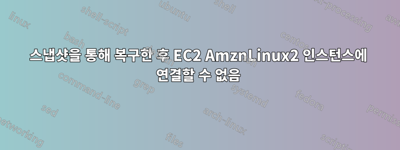 스냅샷을 통해 복구한 후 EC2 AmznLinux2 인스턴스에 연결할 수 없음