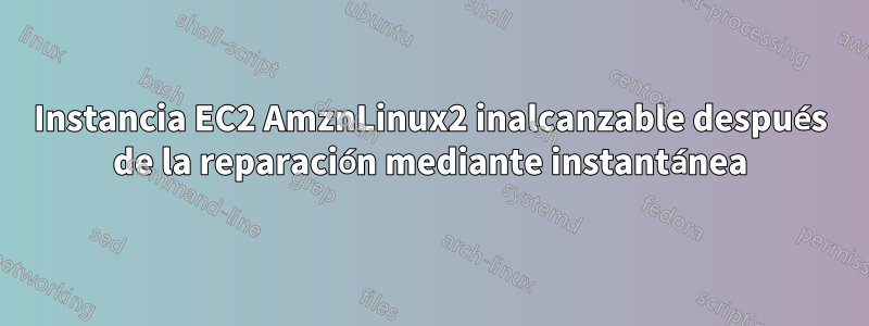 Instancia EC2 AmznLinux2 inalcanzable después de la reparación mediante instantánea