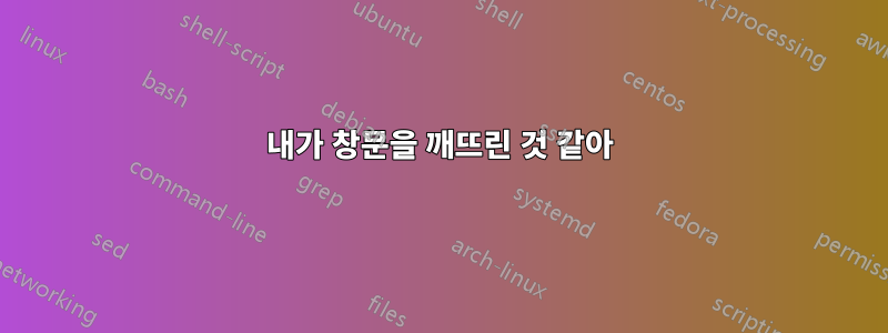 내가 창문을 깨뜨린 것 같아