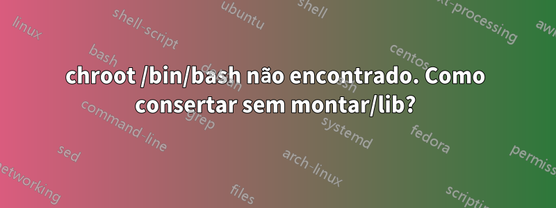 chroot /bin/bash não encontrado. Como consertar sem montar/lib?