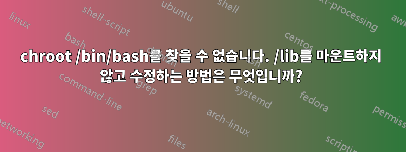 chroot /bin/bash를 찾을 수 없습니다. /lib를 마운트하지 않고 수정하는 방법은 무엇입니까?