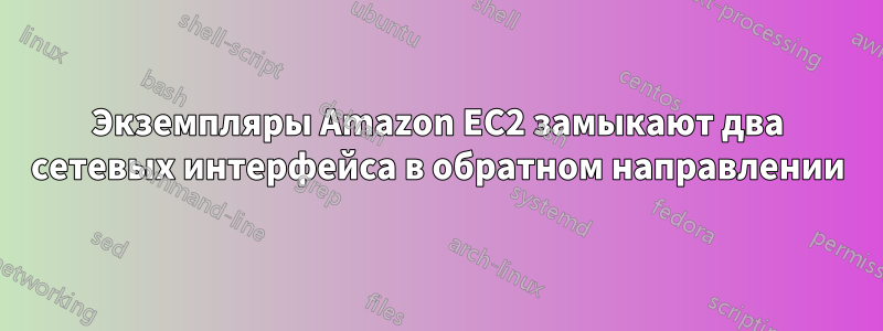 Экземпляры Amazon EC2 замыкают два сетевых интерфейса в обратном направлении