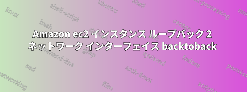 Amazon ec2 インスタンス ループバック 2 ネットワーク インターフェイス backtoback