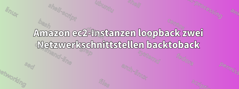 Amazon ec2-Instanzen loopback zwei Netzwerkschnittstellen backtoback