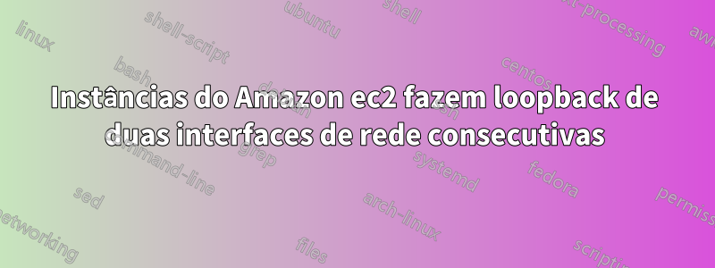 Instâncias do Amazon ec2 fazem loopback de duas interfaces de rede consecutivas