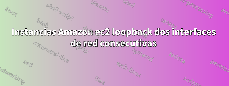 Instancias Amazon ec2 loopback dos interfaces de red consecutivas