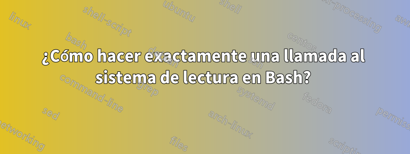 ¿Cómo hacer exactamente una llamada al sistema de lectura en Bash?