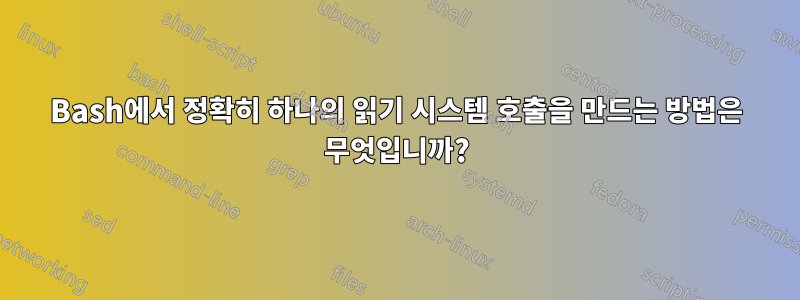 Bash에서 정확히 하나의 읽기 시스템 호출을 만드는 방법은 무엇입니까?