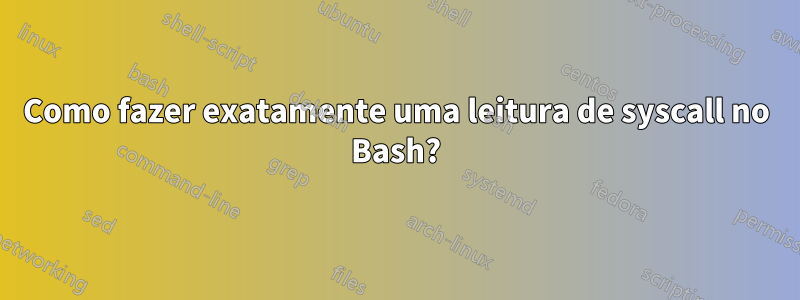 Como fazer exatamente uma leitura de syscall no Bash?