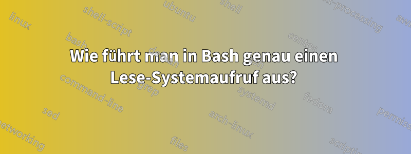 Wie führt man in Bash genau einen Lese-Systemaufruf aus?