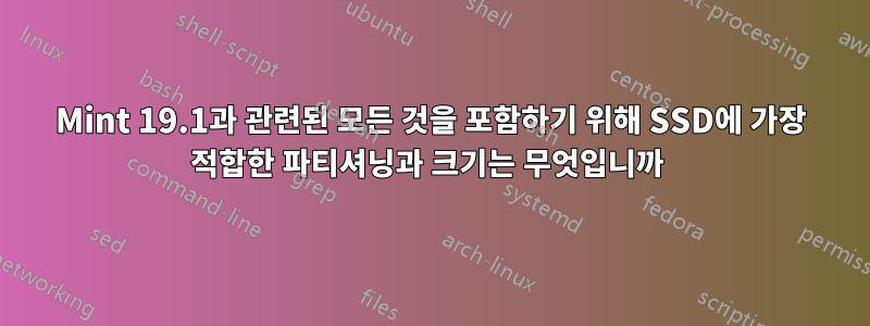 Mint 19.1과 관련된 모든 것을 포함하기 위해 SSD에 가장 적합한 파티셔닝과 크기는 무엇입니까 