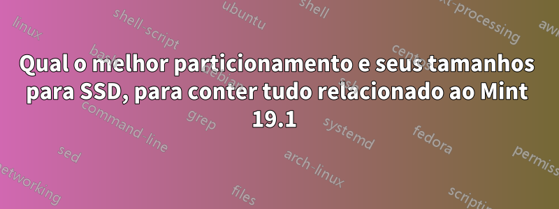 Qual o melhor particionamento e seus tamanhos para SSD, para conter tudo relacionado ao Mint 19.1 