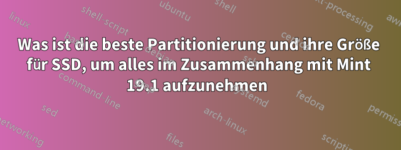 Was ist die beste Partitionierung und ihre Größe für SSD, um alles im Zusammenhang mit Mint 19.1 aufzunehmen 