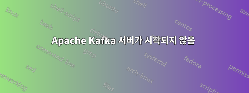 Apache Kafka 서버가 시작되지 않음