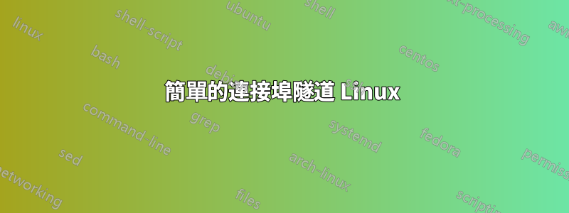 簡單的連接埠隧道 Linux