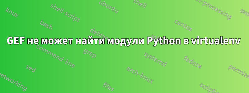 GEF не может найти модули Python в virtualenv