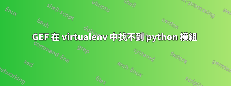 GEF 在 vi​​rtualenv 中找不到 python 模組