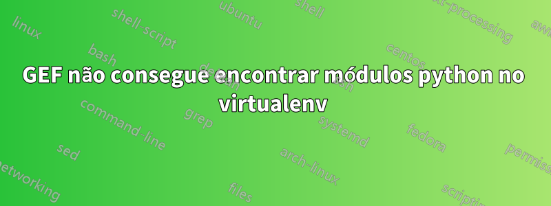 GEF não consegue encontrar módulos python no virtualenv