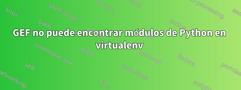 GEF no puede encontrar módulos de Python en virtualenv