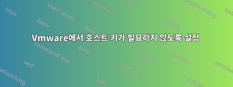 Vmware에서 호스트 키가 필요하지 않도록 설정